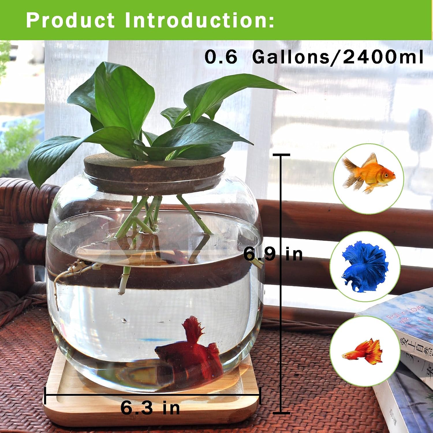 Betta Fish Bowl Glass Small Fish Tank with Bamboo Stand, Plant Propagation Station Hydroponic Terrarium with Lid beta