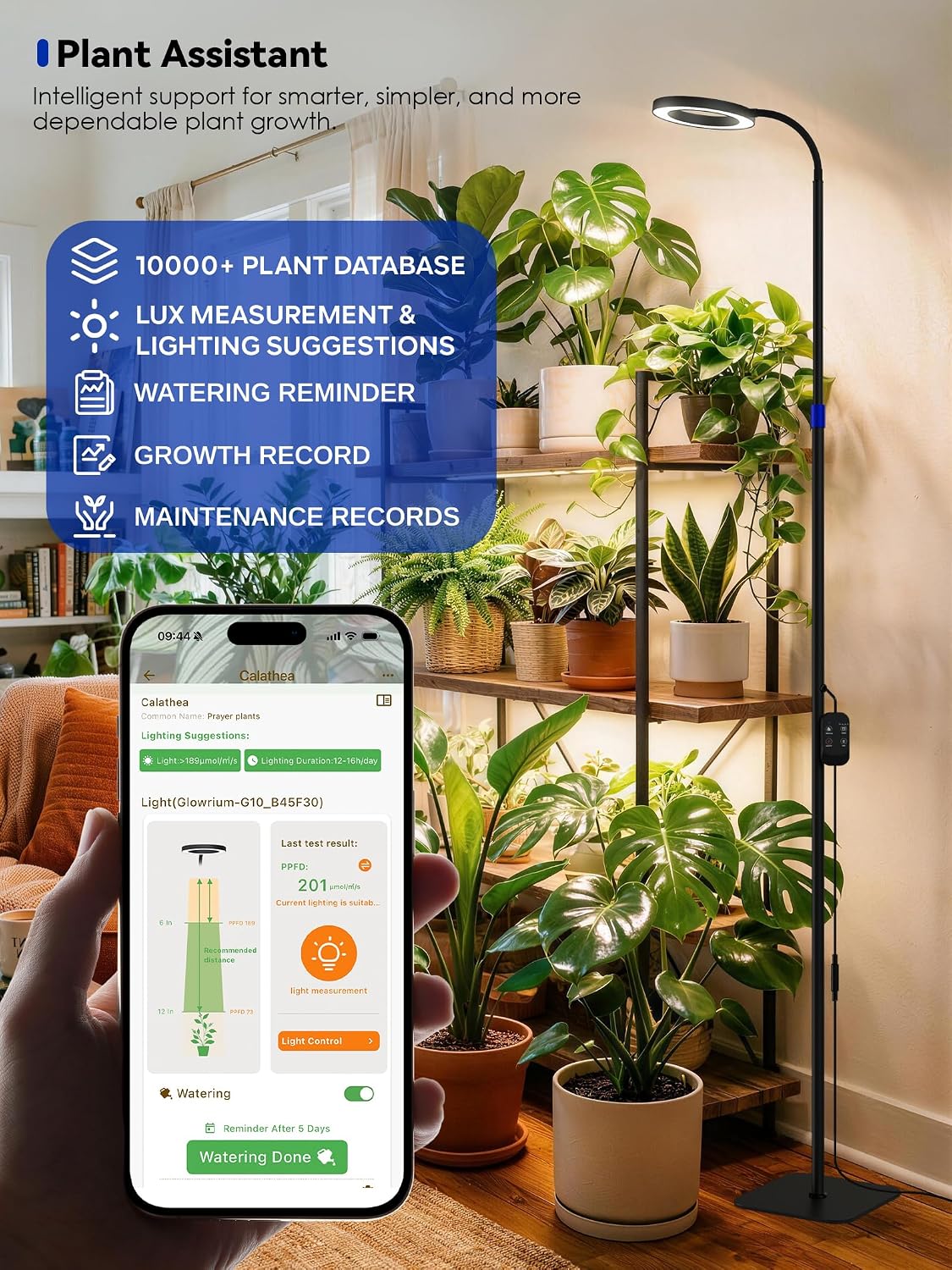 Smart Grow Light for Indoor Plants, Full Spectrum LED Plant Light | 54"-67" Adjustable Height, APP Control, Timer