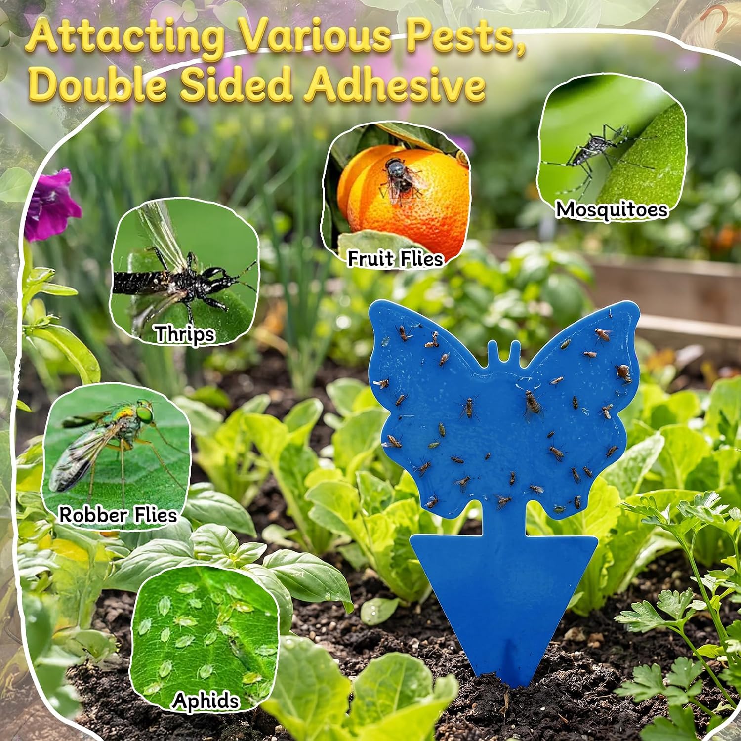 400 Pack Fruit Fly Traps Fungus Gnat Sticky Traps Colorful Plant Fly Stickers for Indoor Outdoor Kitchen Garden