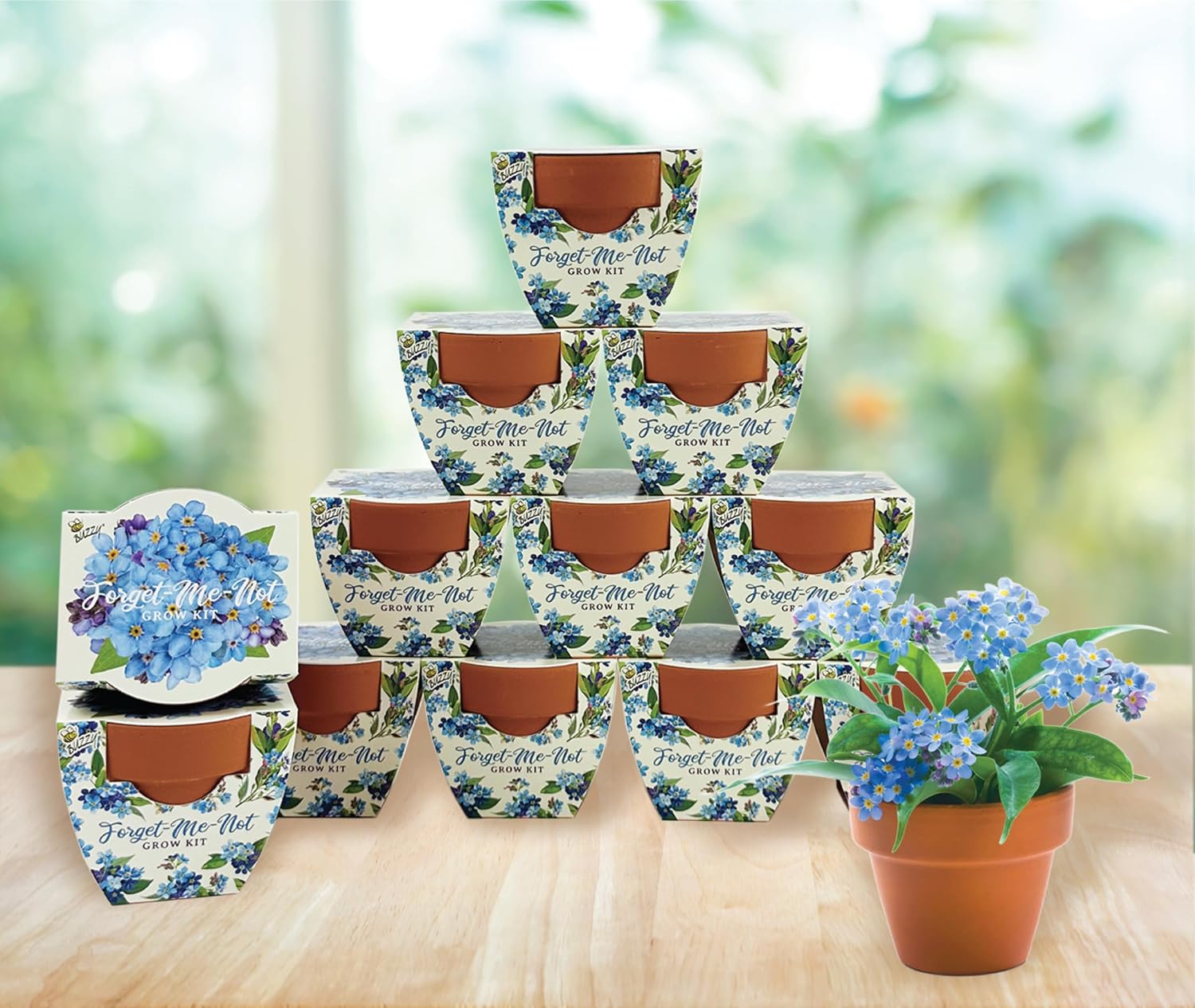 BUZZY Seeds Daydream Collection Mini Terracotta Grow Kit 12-Pack - Mini Terracotta Pot Grow Set - 100% Grow Guarantee