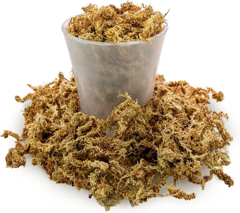 Premium New Zealand Sphagnum Moss by Gardenera - Organic Hand Mixed Long Fibered Sphagnum Moss Orchid - 3 Quart