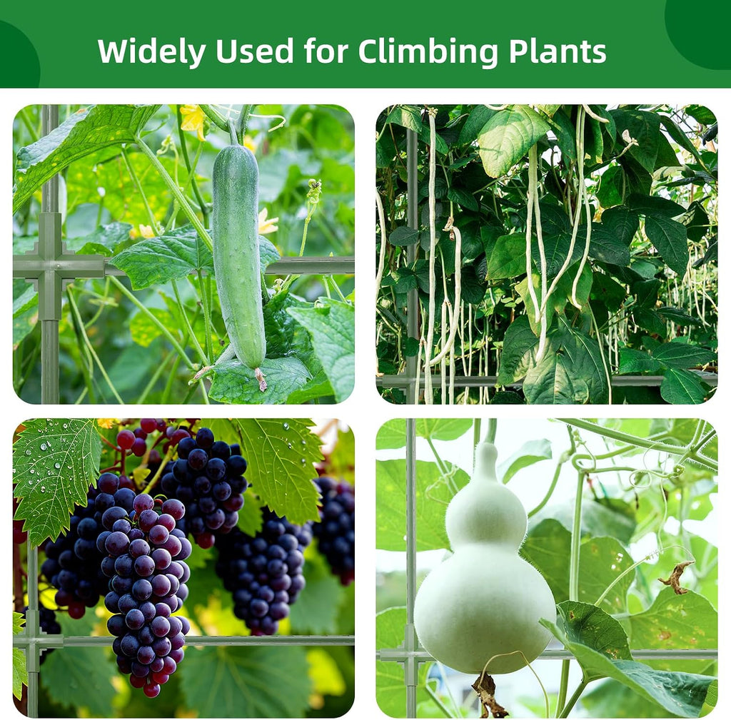 65"×50" Cucumber Trellis for Raised Bed,Tall Metal Arch Garden Trellis for Climbing Plants Outdoor,Vegetables,Plant