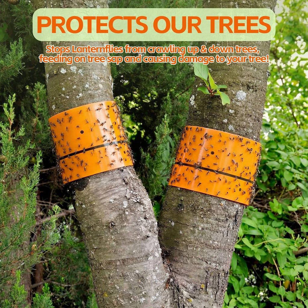 12 Rolls Spotted Lantern Fly Tree Trap 30 Feet Each Roll Lanternfly Tree Outdoor Fruit Fly Sticky Strips Paper Insect