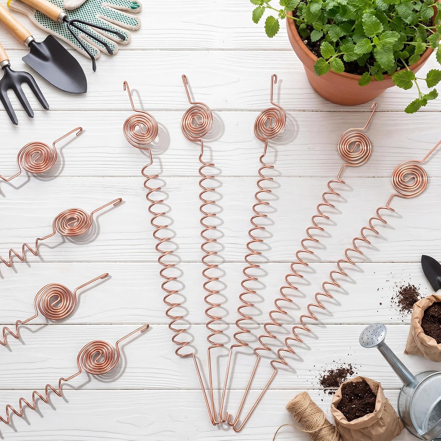 9 Pcs Electroculture Plant Stakes Copper Rods,Stylish,10 Inch | Copper Rods for Garden, Plant Stake Tensor Rings