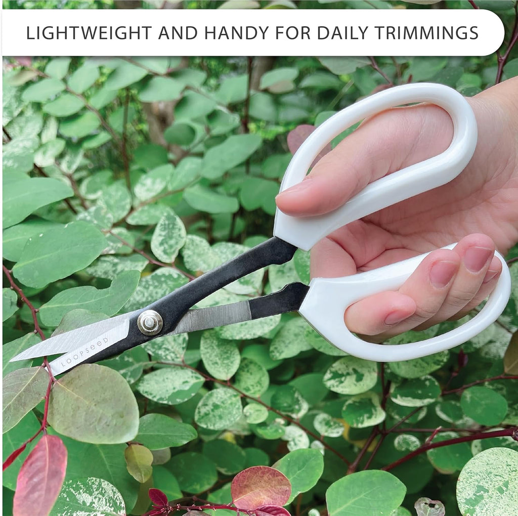 Precision Gardening Scissors Plant Trimming Pruning Shears Garden Pruners for Orchid Bonsai Hydroponic Flower Clipper