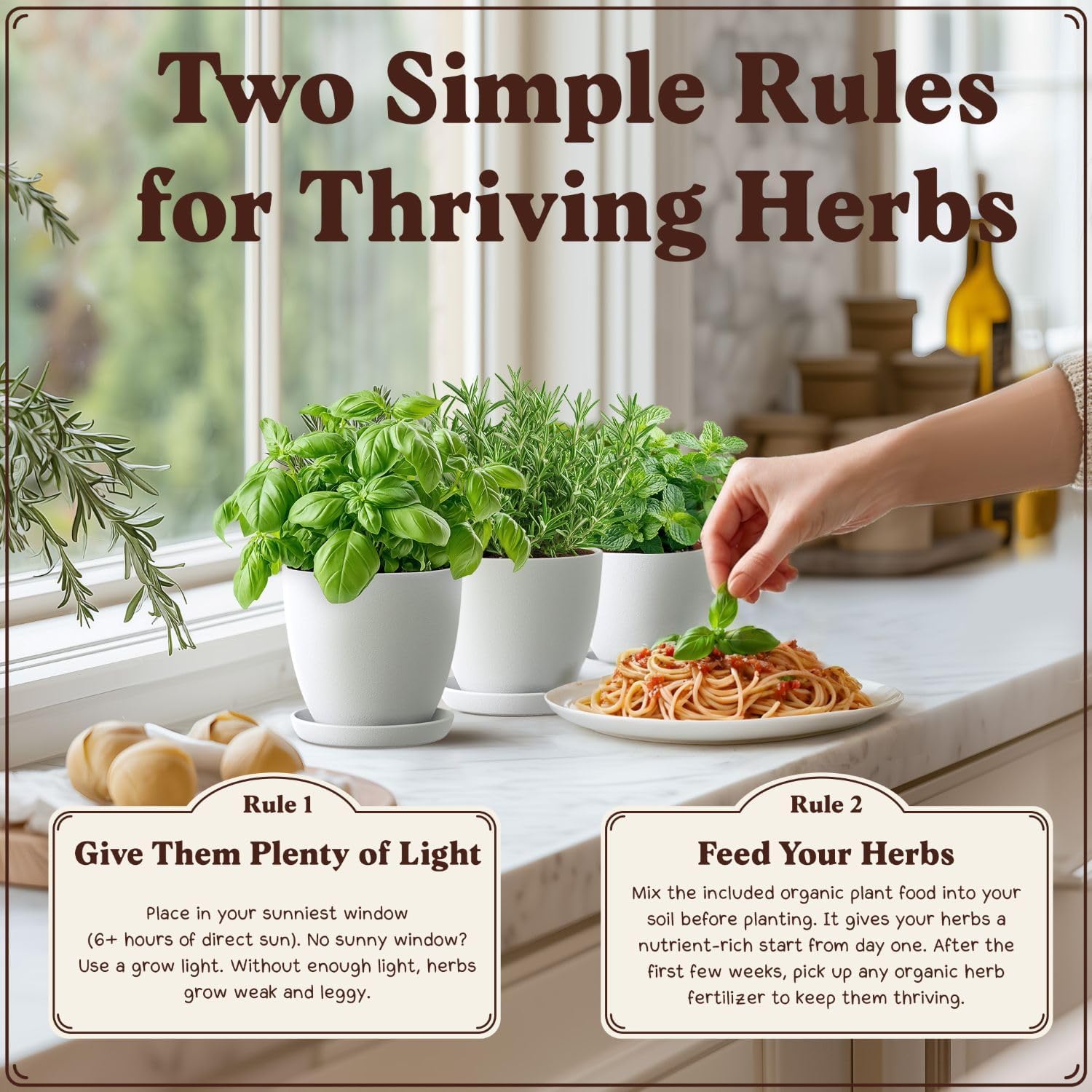 Organic Non-GMO Herb Seeds for Planting (Herb Garden Starter Kit) | For Indoor or Outdoor Growing; USDA Certified