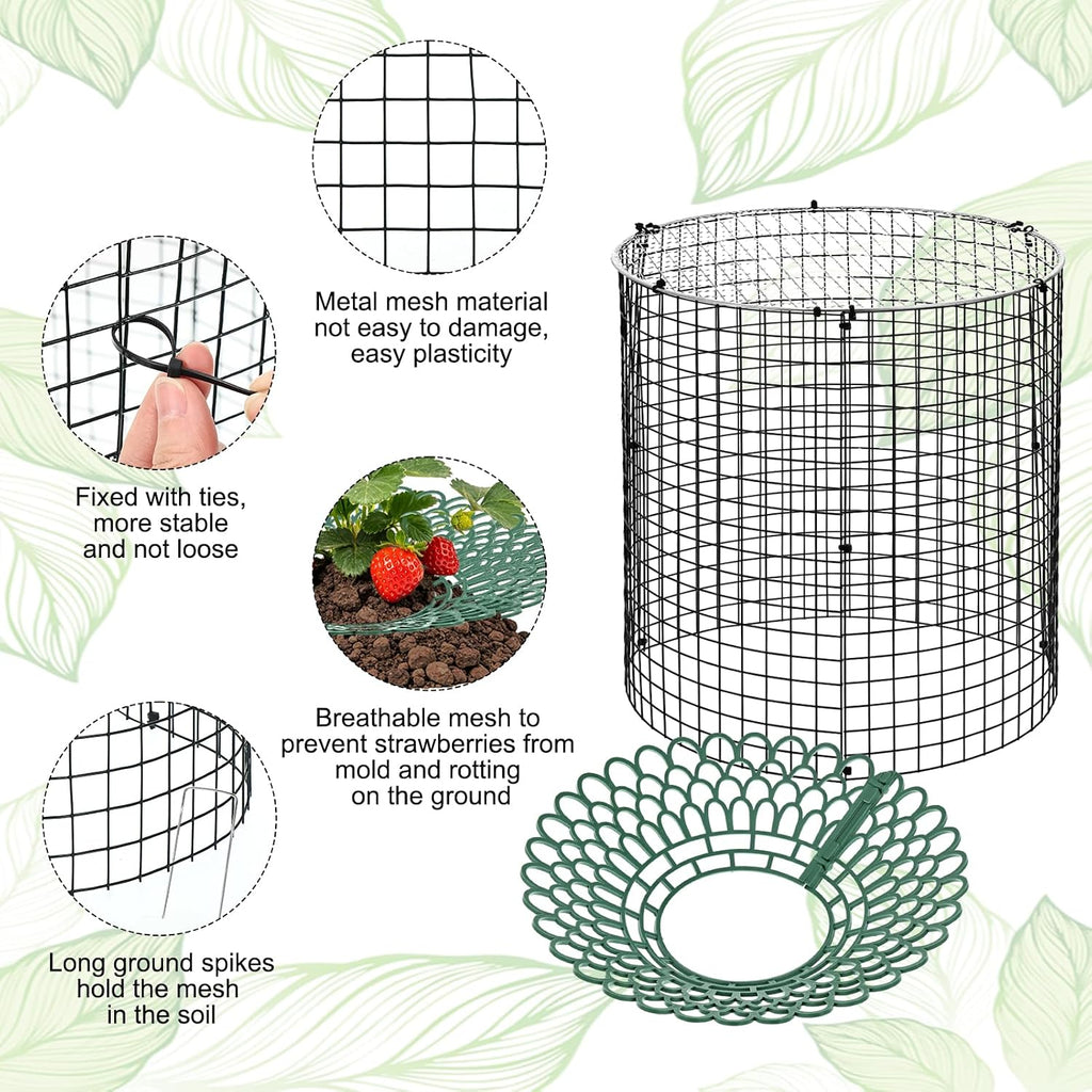 6 Pack Round Upgraded Strawberry Supports with Wire Covers Plant Protectors from Animal - All-in-One Garden Protection