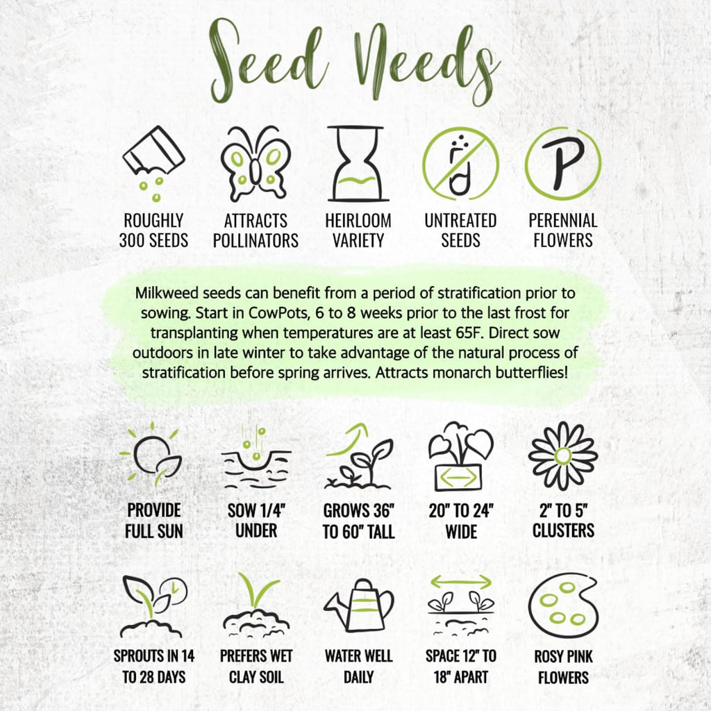 Seed Needs Milkweed Seeds to Plant a Butterfly Garden for Attracting Monarch Butterflies - Collection of Pink, Orange &