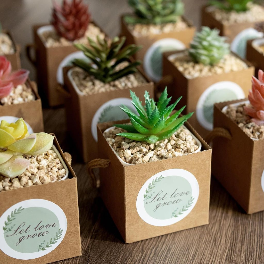Temlum 2.5 Inch Succulent Wrap Bags (Fits 2.5″ Pots) with Thank You & Let Love Grow Stickers, Small Gift Box for