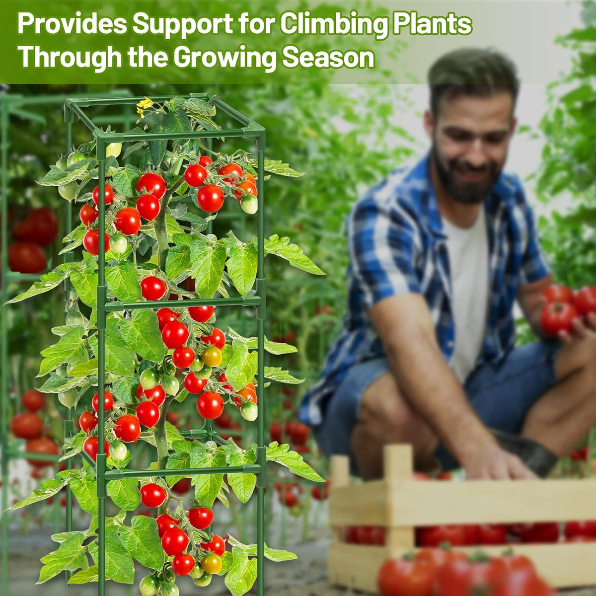 2 Pack 45 Inch Tomato Cages for Garden, Heavy Duty Tomato Trellis | Adjustable & Reusable Square Tomato Plant Support