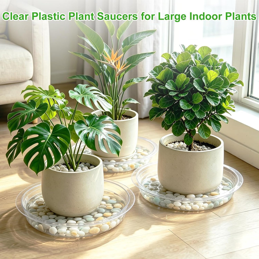 TITE 5 Pack Clear Plant Saucer Heavy Duty Sturdy Drip Trays for Indoor and Outdoor Plants