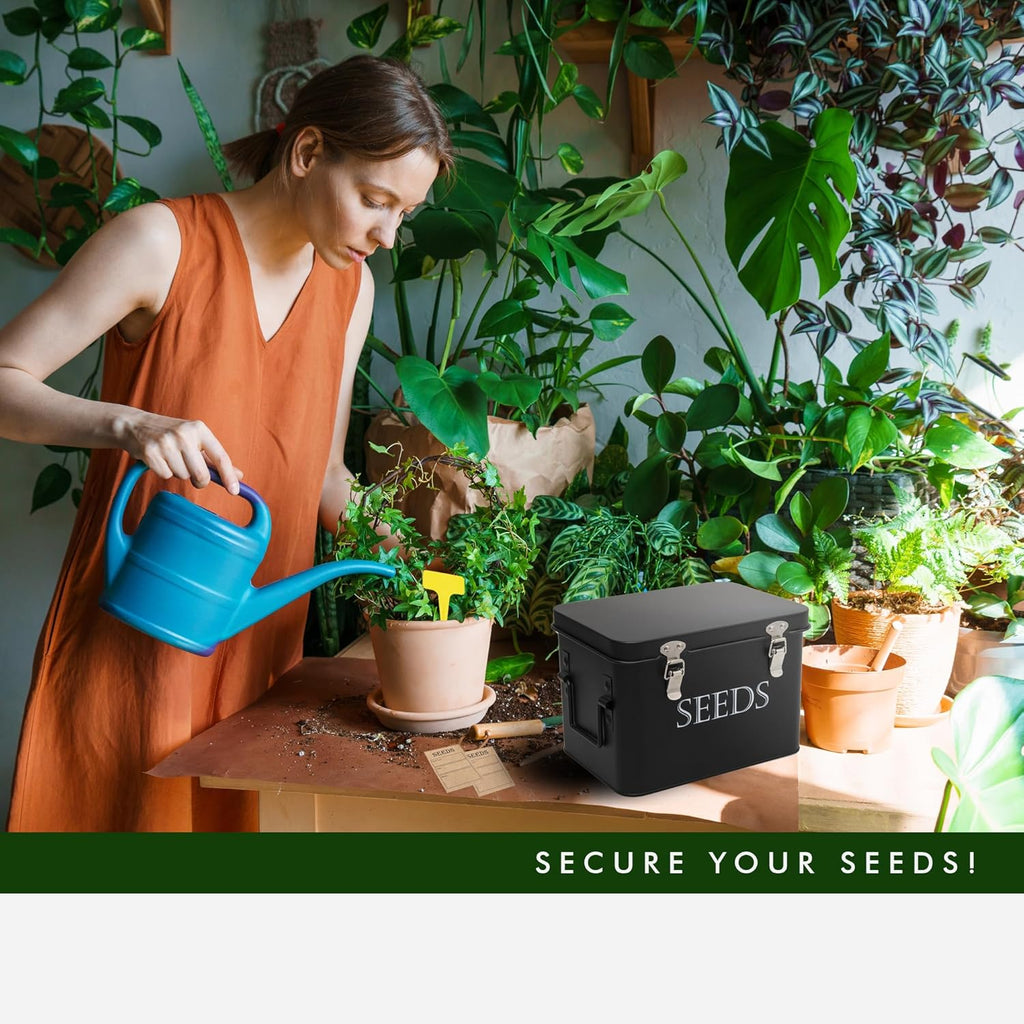 Garden Seed Storage Box with Dividers Seeds Packet Organizer Case for Gardening 3 Inner Slot Bird Plant or Vegetable