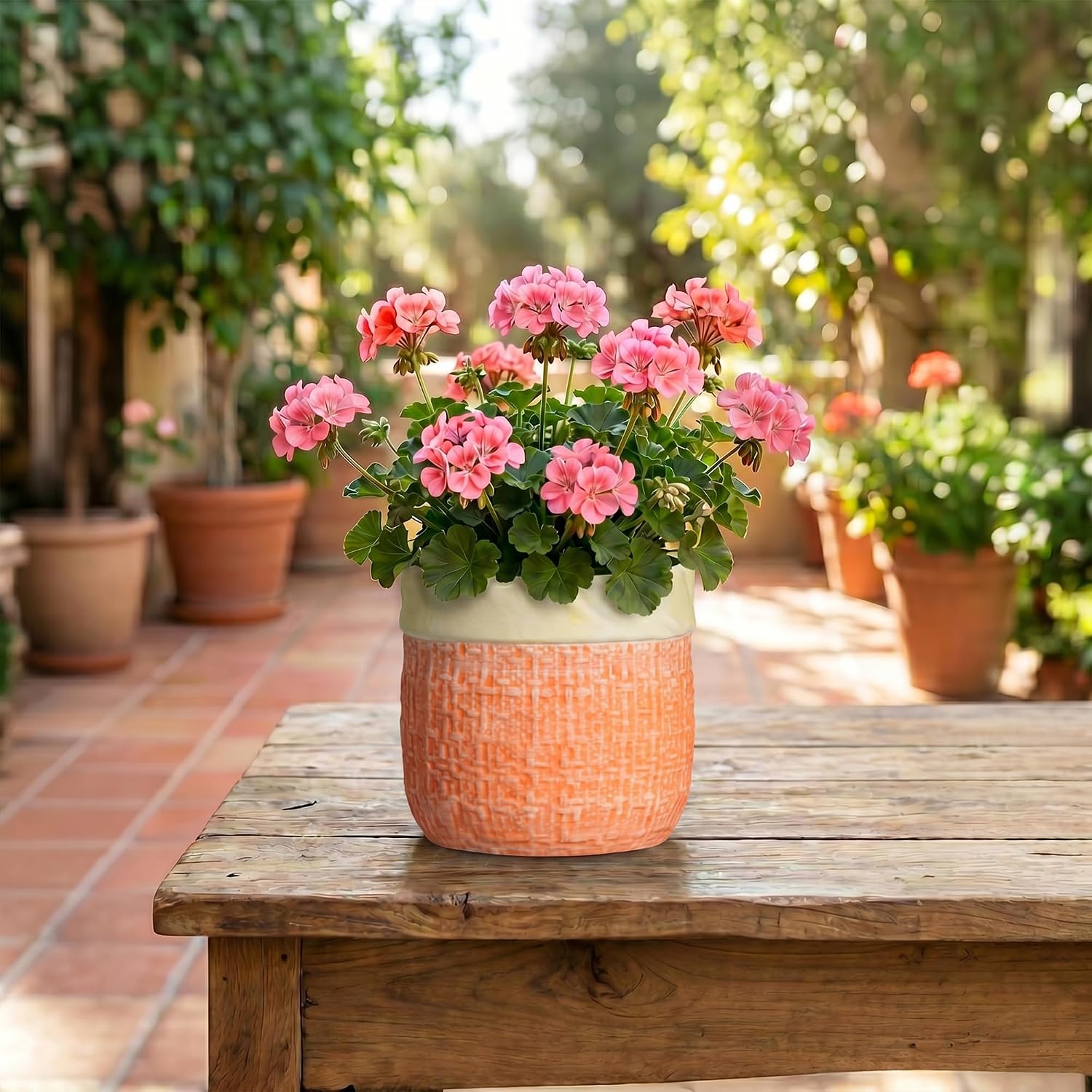 Ceramic Pots for Plants, 6 Inch Planter, Round Plant Pot, Orange | Boho Plant Pot for Indoor Plants, Decorative Flower
