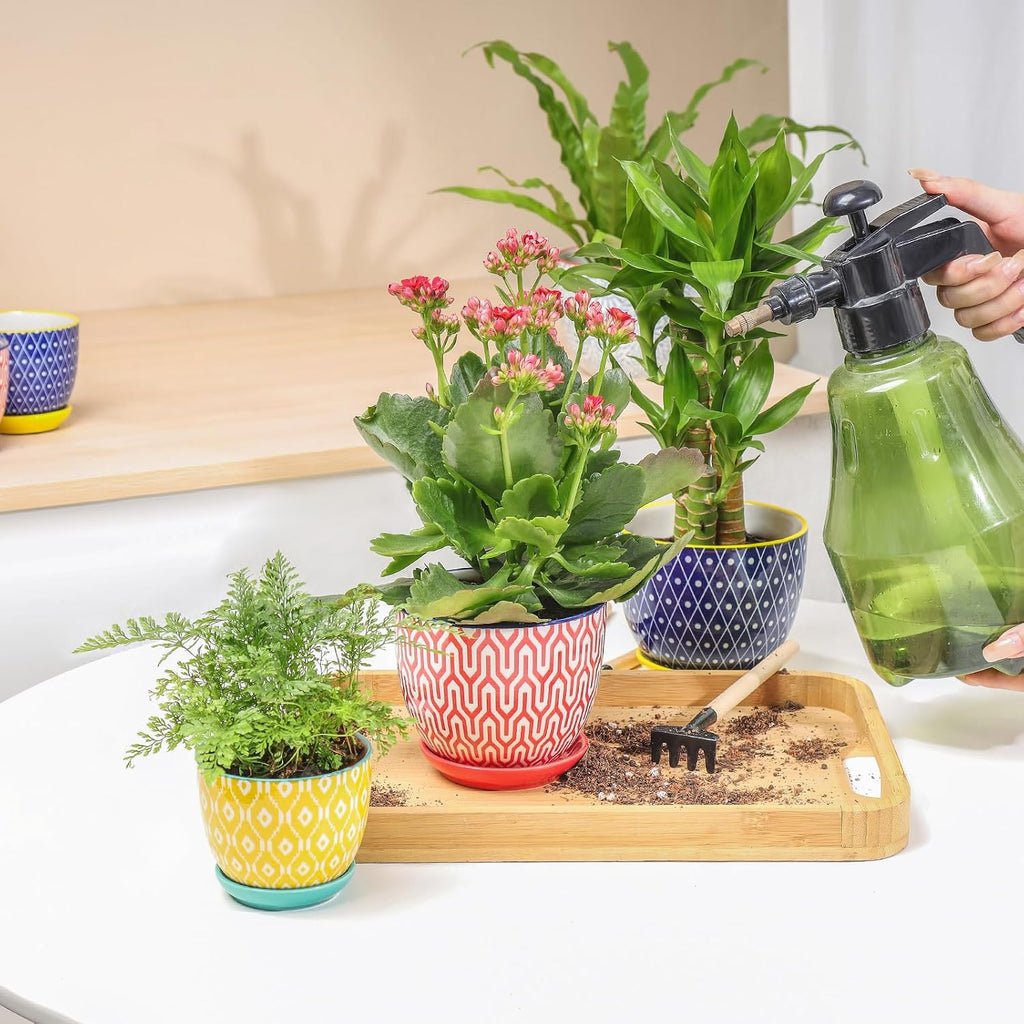 Selamica Ceramic Succulent Pots, 4.6 Inch Small Plant Pots with Drainage Holes & Saucers, Succulent Planters for Indoor