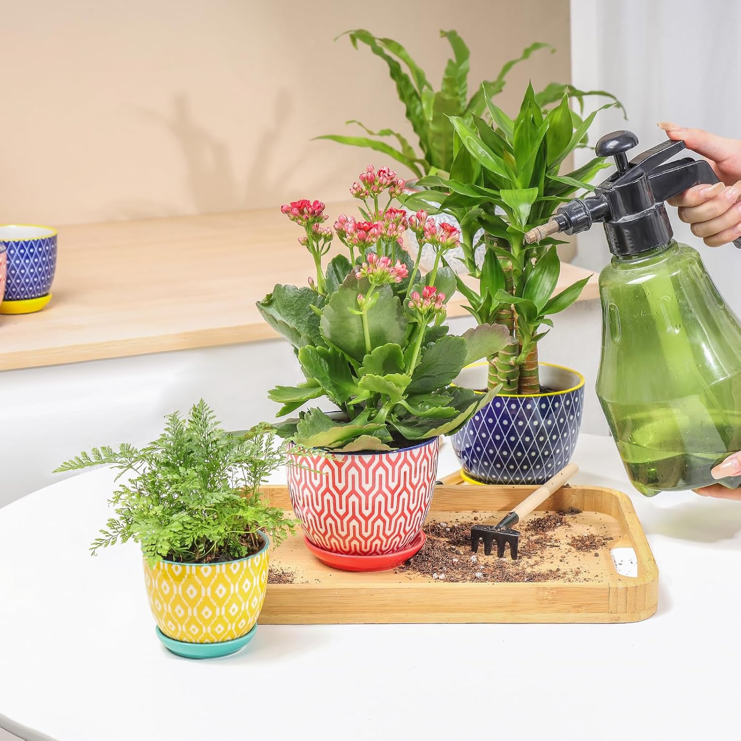 Selamica Ceramic Succulent Pots, 4.6 Inch Small Plant Pots with Drainage Holes & Saucers, Succulent Planters for Indoor