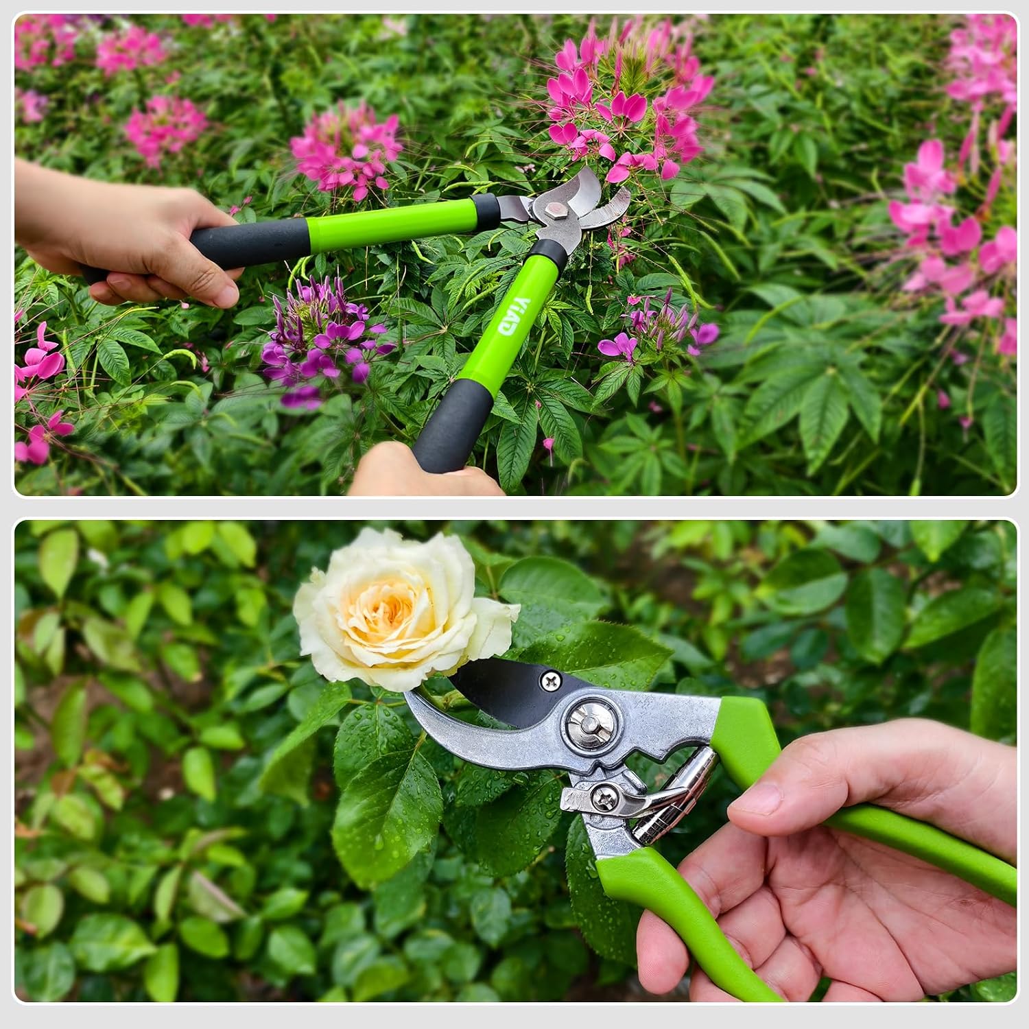 2Pcs High Carbon Steel Bypass Hand Loppers & SK5 Pruning Shears Set | Pruners for Tree Trimming, Garden Clippers