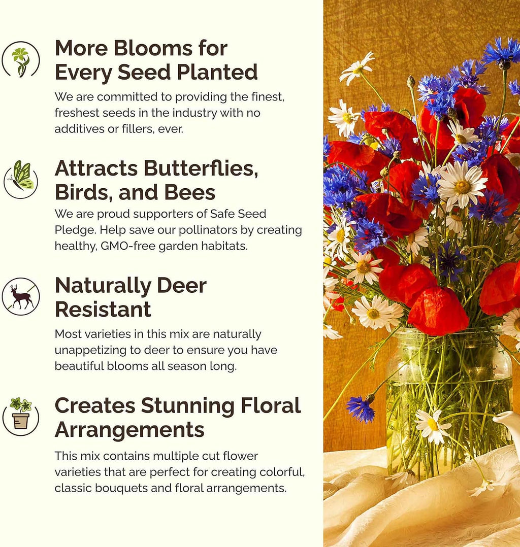 Eden Brothers Northeast Wildflower Mixed Seeds for Planting, 5 lb, 2,400,000+ Seeds with Cosmos, Candytuft, Shasta