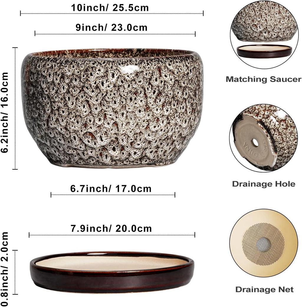 SQOWL Ceramic Plant Pots - 10 Inch Planter for Indoor Plants Outdoor, Large Flower Pots with Drainage Hole and Saucer