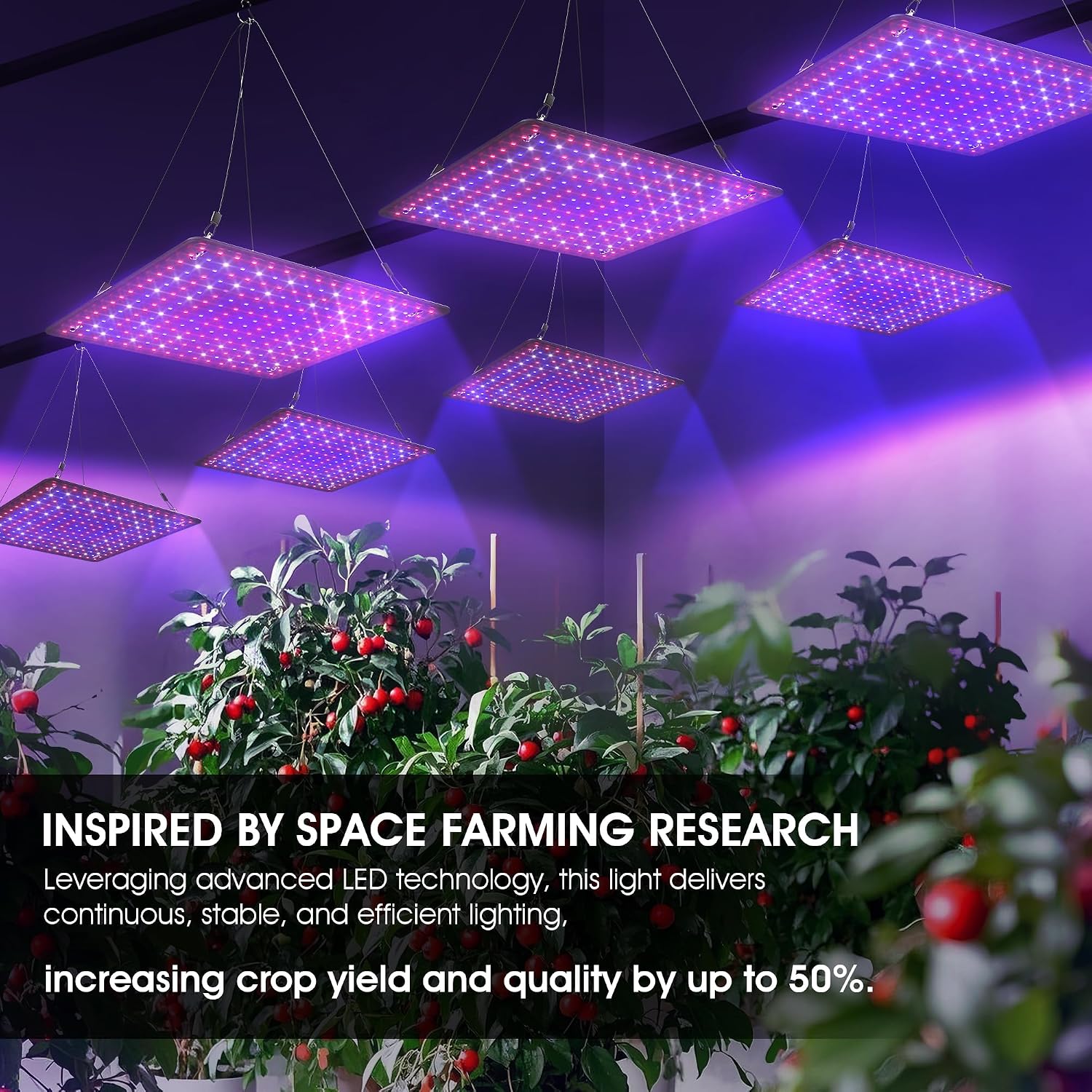 2 Pack LED Grow Light Panel Full Spectrum Lamp for Indoor Plants | with White Blue Red UV IR LEDs for 4x4ft Coverage