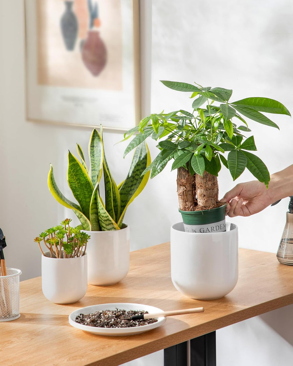 vancasso Ceramic Plant Pots, 4+5+6 inches, Set of 3, Planters with Drainage Hole, Flower Pots Planters Pots for Indoor