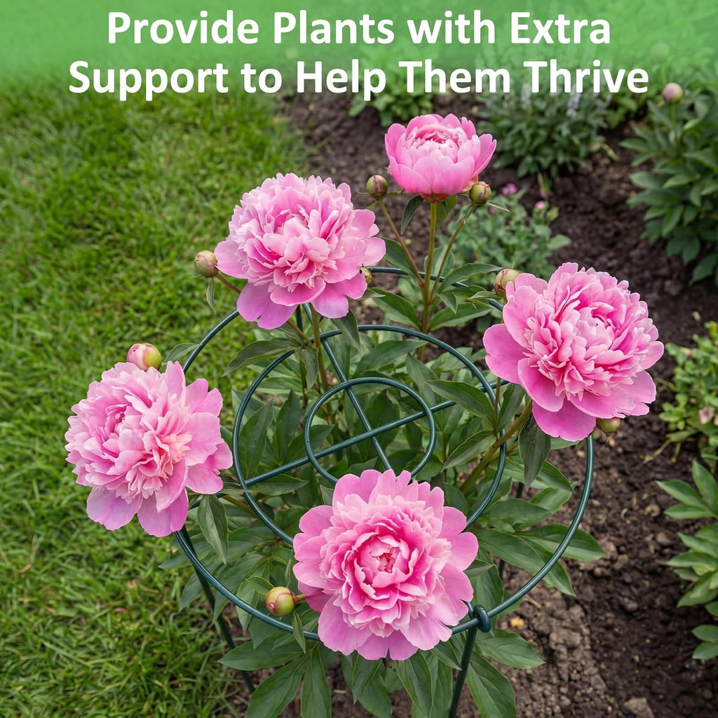 Pelopy 4 Pack Large Peony Cages and Supports 23.6"h x 15.7"d Heavy Duty Plant Support for Outdoor Plants, Meatl Peony