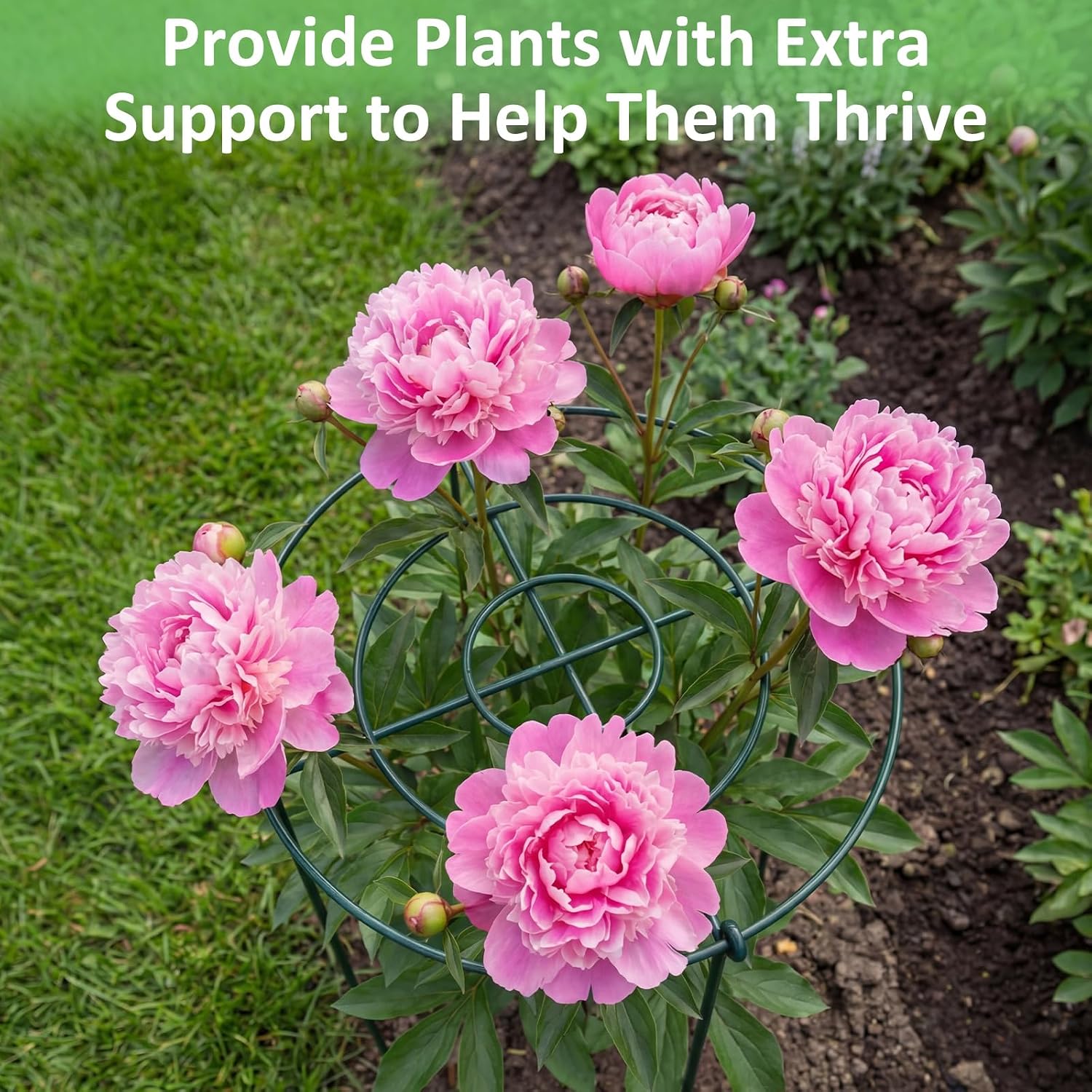 Pelopy 4 Pack Large Peony Cages and Supports 23.6"h x 15.7"d Heavy Duty Plant Support for Outdoor Plants, Meatl Peony