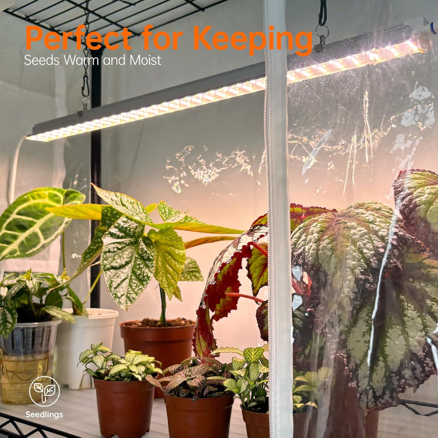 6-Tier Indoor Greenhouse with Grow Light, 29.5x13.8x71in | Indoor Greenhouse, 5-Pack Full Spectrum Plant Lights, 150W