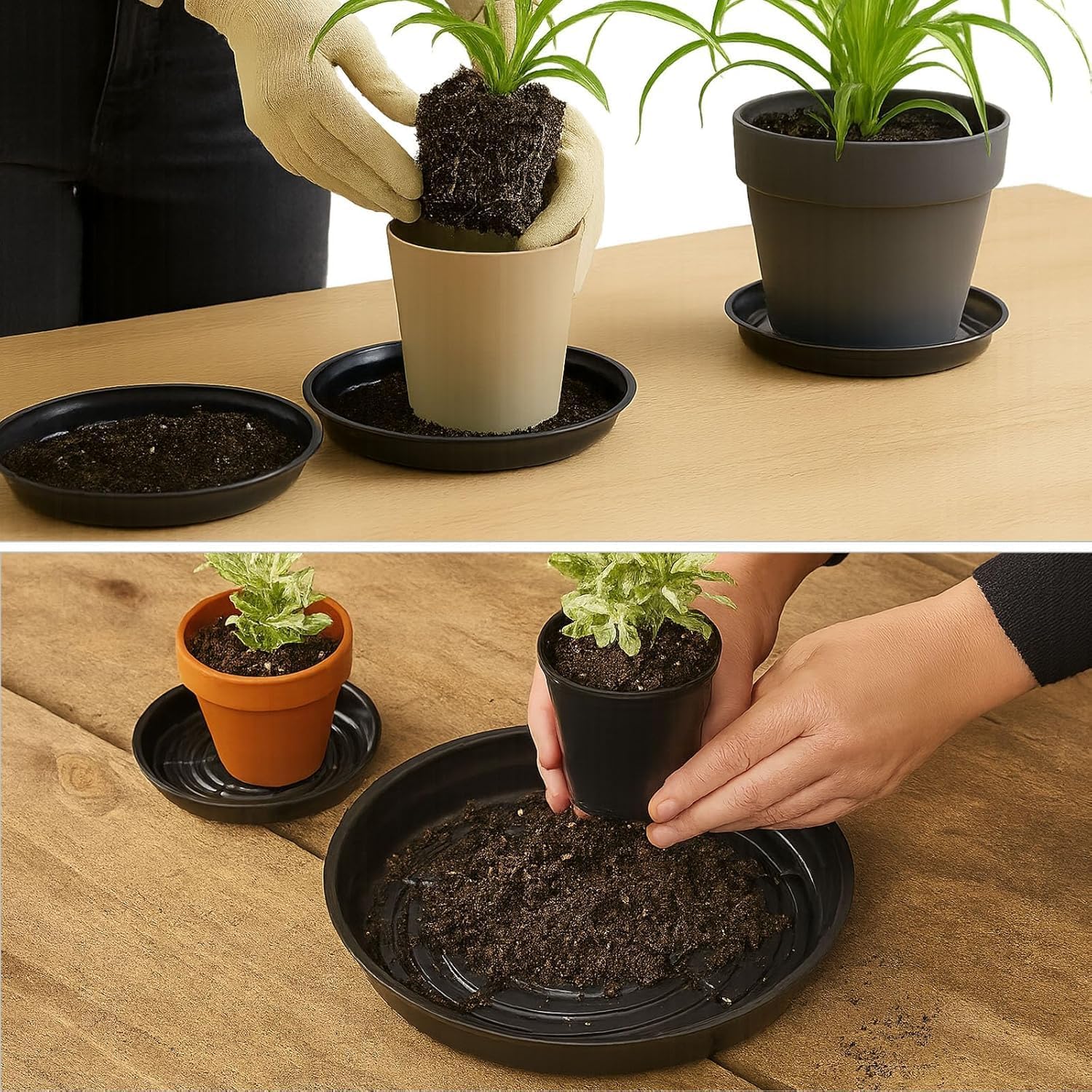 50 Packs 12 Inches Large Plant Saucers for Indoor Outdoor Use Heavy Duty Plastic Plant Plate Dish for Planter Bulk