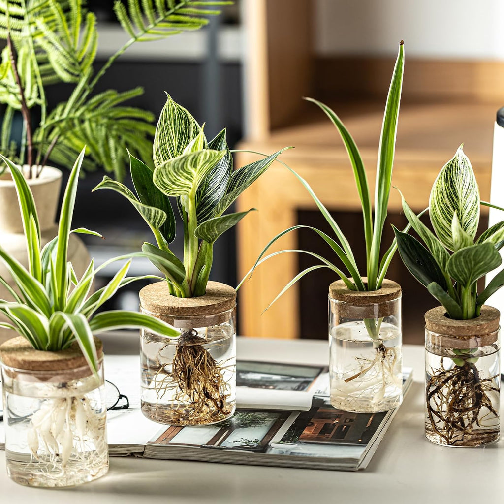 Glass Plant Propagation Stations for Plants – Set of 12(6 Large & 6 Small) Hydroponic Vases for Plant Cuttings,Flower