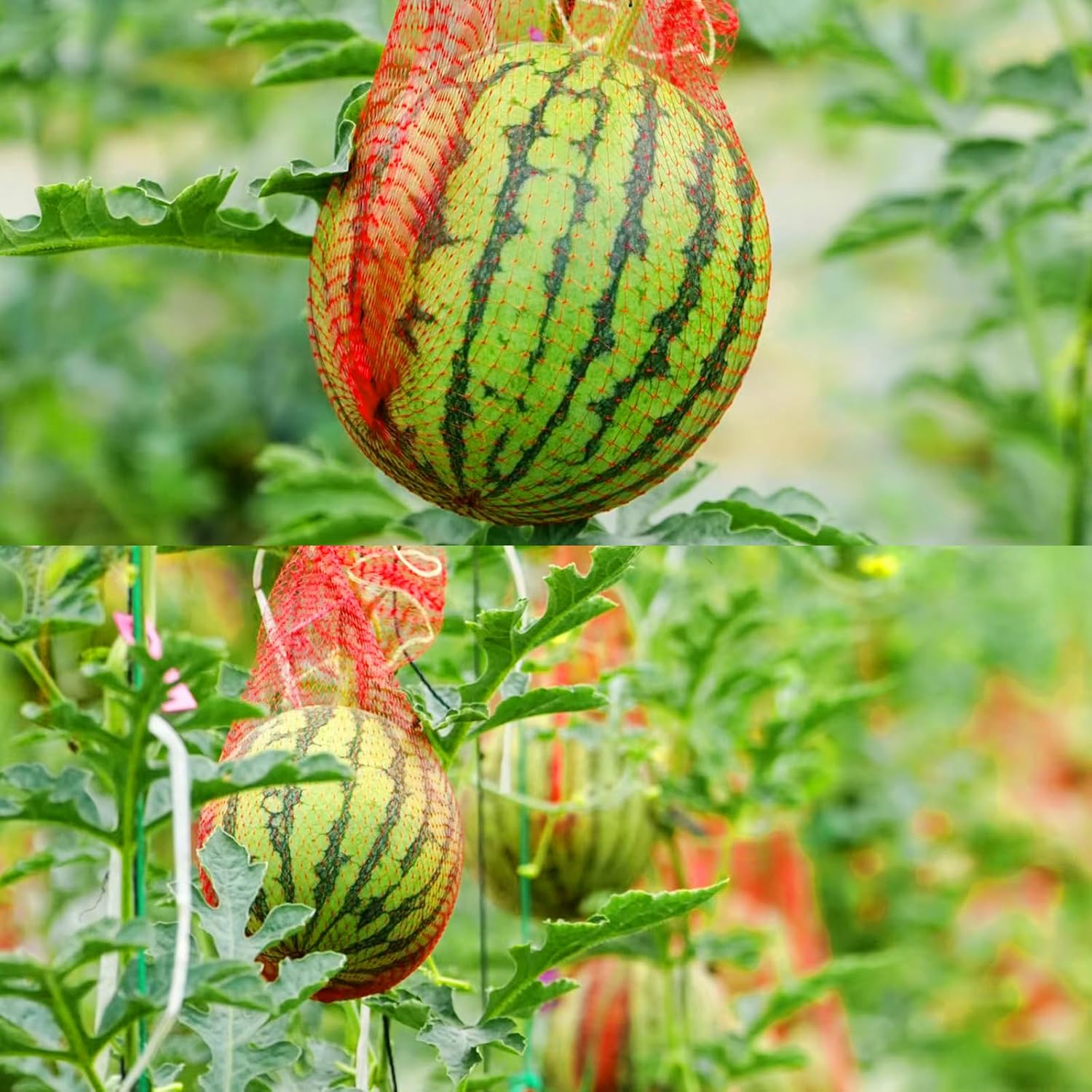 200 Pack Watermelon Nets, Reusable Hanging Melon Support Nets | Melon Hammocks Cradles Fruit Watermelon Net Bag for