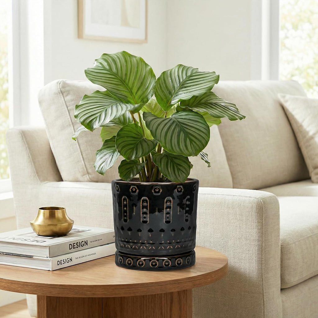 Eightpot 6 Inch Plant Pot, Ceramic Pots for Plants with Drainage Hole and Saucer, Round Planter for Indoor Outdoor