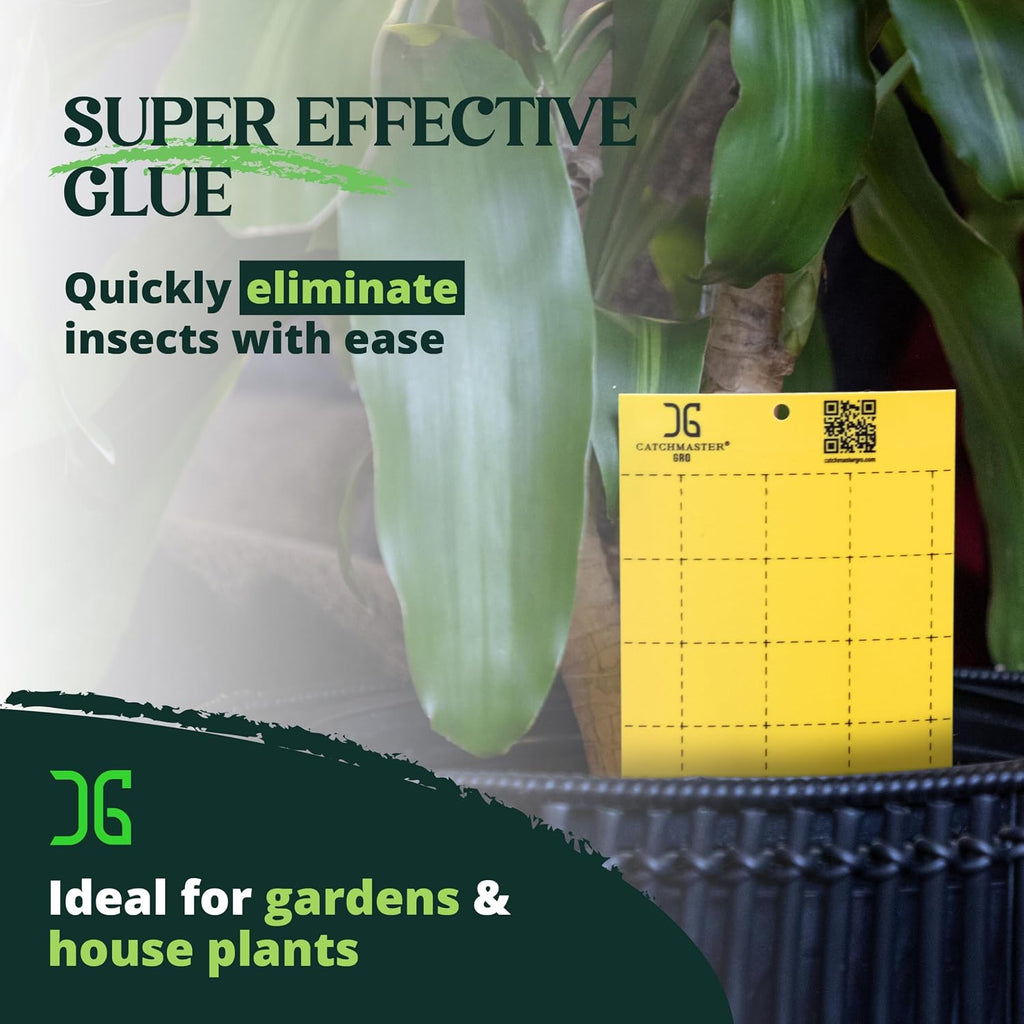 Catchmaster GRO Yellow Large Double Sided Sticky Traps 50PK, Adhesive Bug & Fruit Fly Trap, Pest Control for Home
