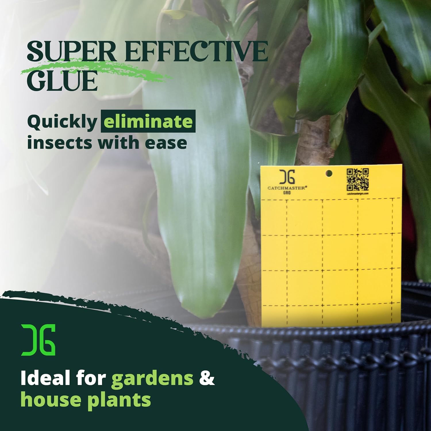 Catchmaster GRO Yellow Large Double Sided Sticky Traps 50PK, Adhesive Bug & Fruit Fly Trap, Pest Control for Home