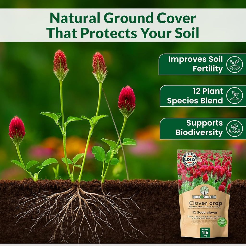 BuildASoil No-Till 60% Clover Seed Mix – 12 Species Cover Crop Seed Blend | No Mow Ground Cover Seeds for Lawn, Garden