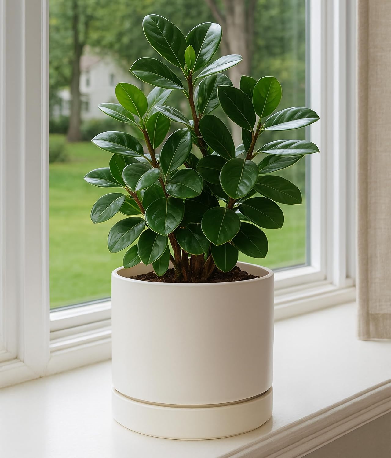 Phoenix Vine 8 Inch Planter Pot with Drainage Hole & Saucer, Deep Water Catch Tray, Straight Cylindrical Round Pot for