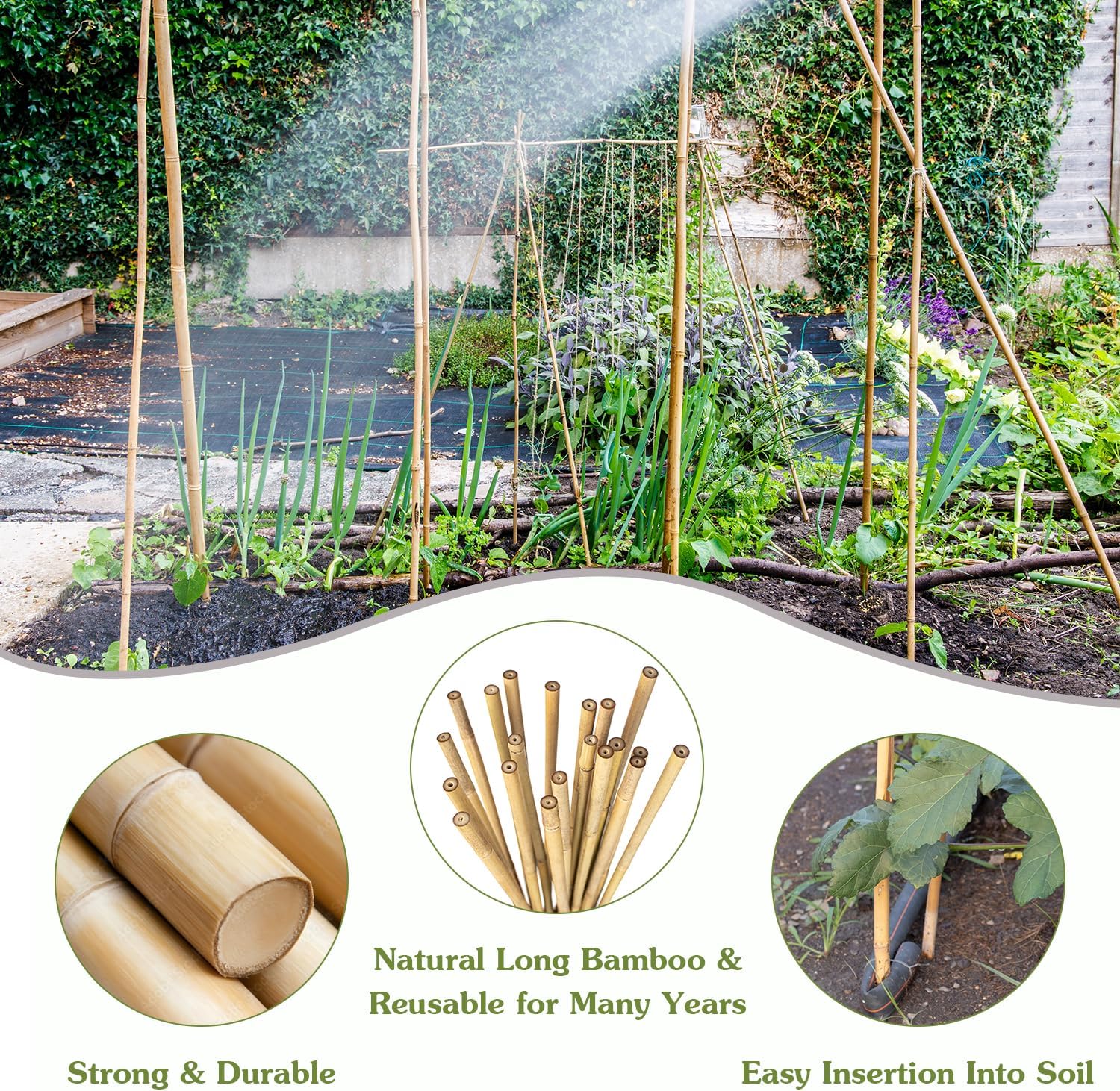 Plant Stakes 4.8FT, Natural Bamboo Stakes,20Pcs Sturdy Bamboo Garden Stakes | HAINANSTRY Bamboo Sticks for Plants