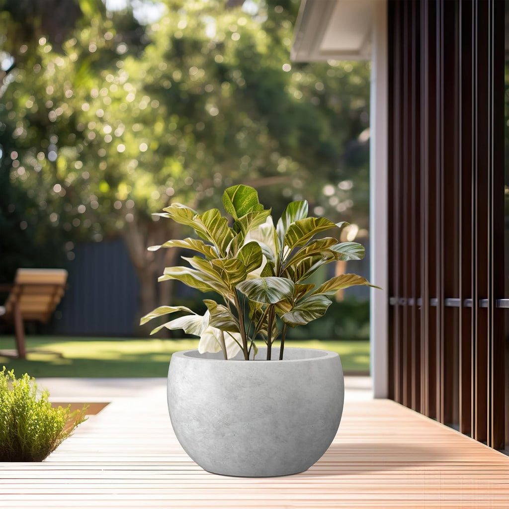 Kante Small Round Bowl Pale Gray Concrete Planter 11.8" Dia, Outdoor | Rubber Plug for Indoor, Drainage for Garden