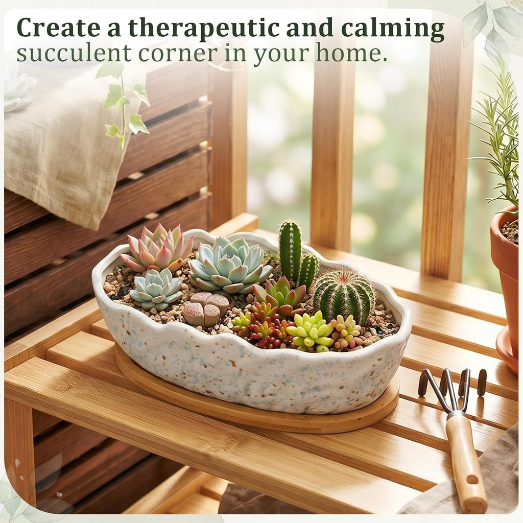 Succulent Planter Pot with Drainage Holes Large Ceramic Glazed Planter with Bamboo Wooden Tray and mesh Pads Shallow