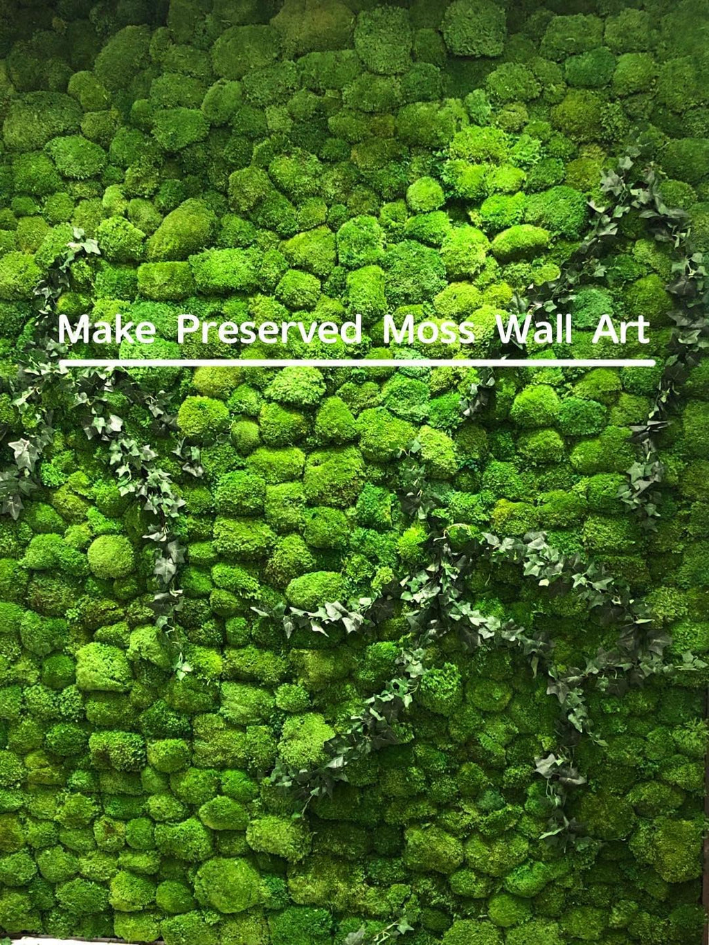 Preserved Pole Moss Pillow Bun Cushion Natural Green Decorative Real Natural Green DIY Kit Terrariums Gardenning Art