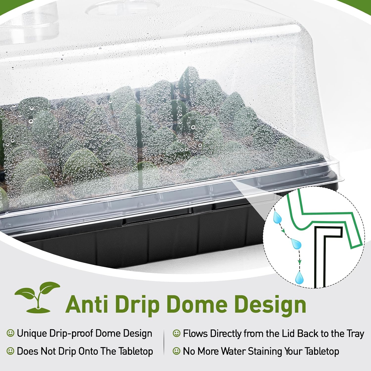 ZJP 5-Pack Seed Starter Trays Set – Includes 1020 Trays (No Holes) + 72-Cell Deep Plug Trays (2.44" Deep) + 5" Clear