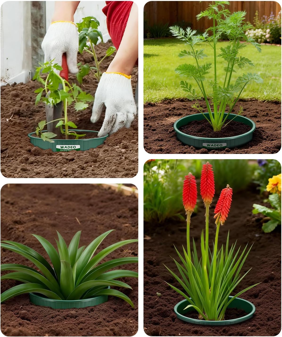 7 inch Planting Grow Rings, 12 PCS Plant Rings for Outdoor Plants, Perfect for Deep Root Watering Veggies Herbs and