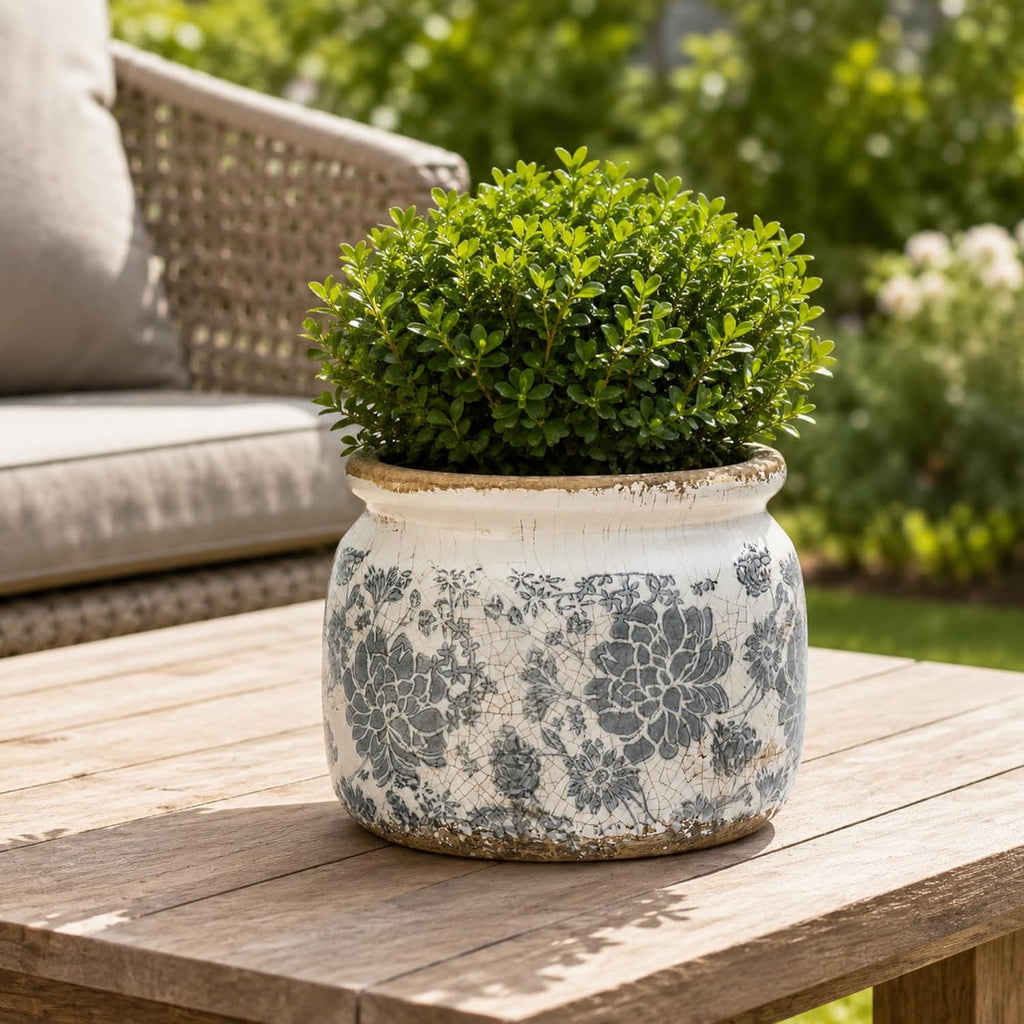 Dosayes Large Ceramic Pot for Planters, Ice Crack Glazed Flower Pot with Drainage Holes,5.91inch Vintage Planters for