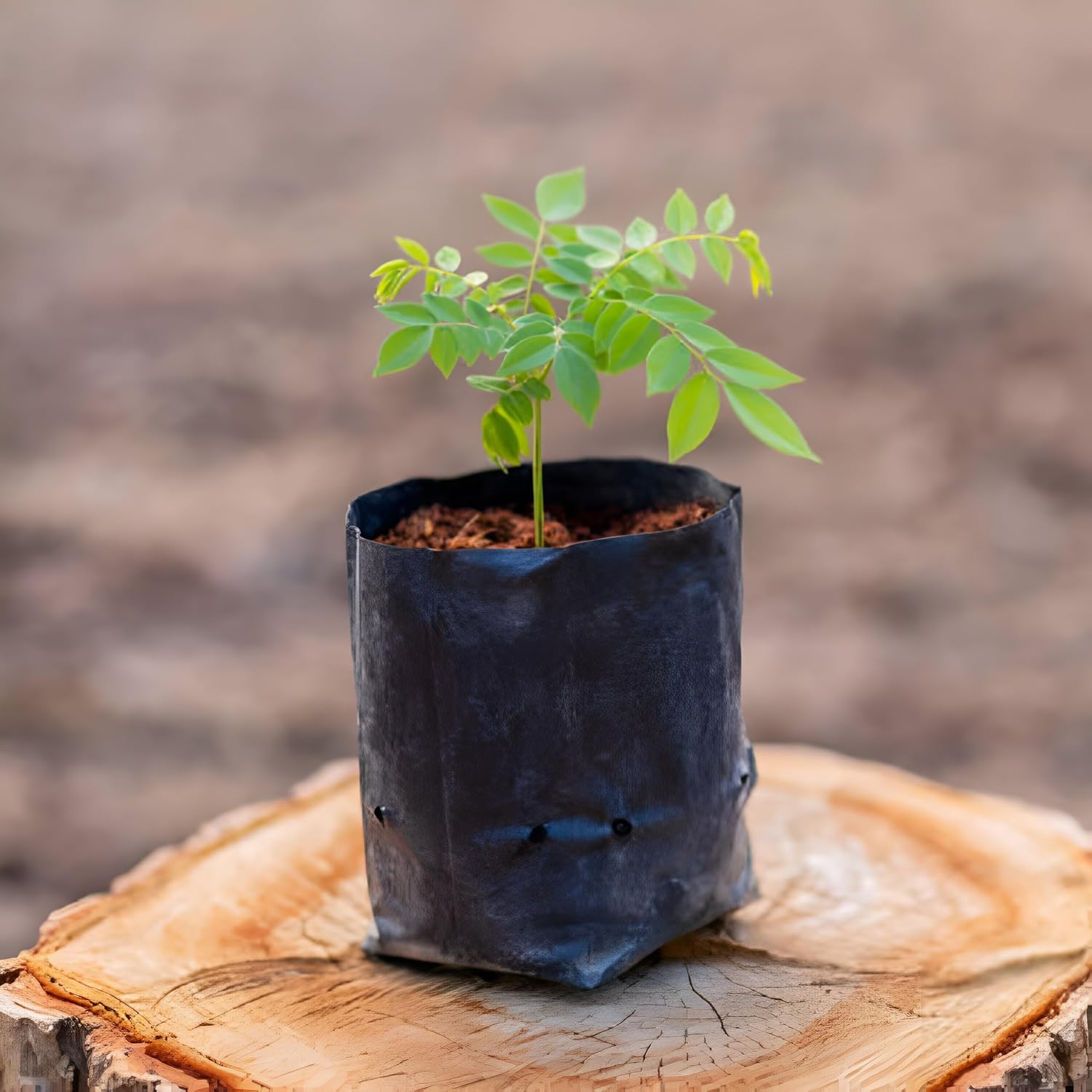Go Garden Big Grow Bags 24"x24" for Home, Terrace, and Balcony Gardening | Pack of 12 | Ideal for Vegetable Plants and