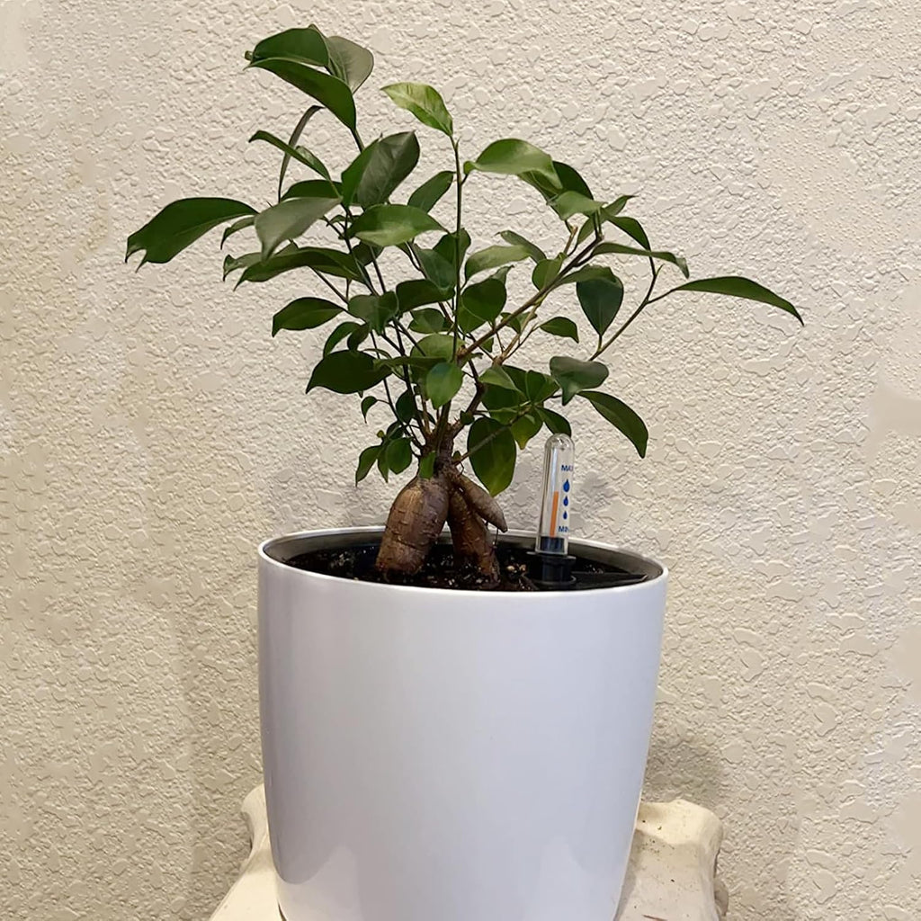 KINJOEK 5 Packs 7 Inch Self Watering Pot with Water Level Indicator, Modern Garden Decorative White Flower Pot