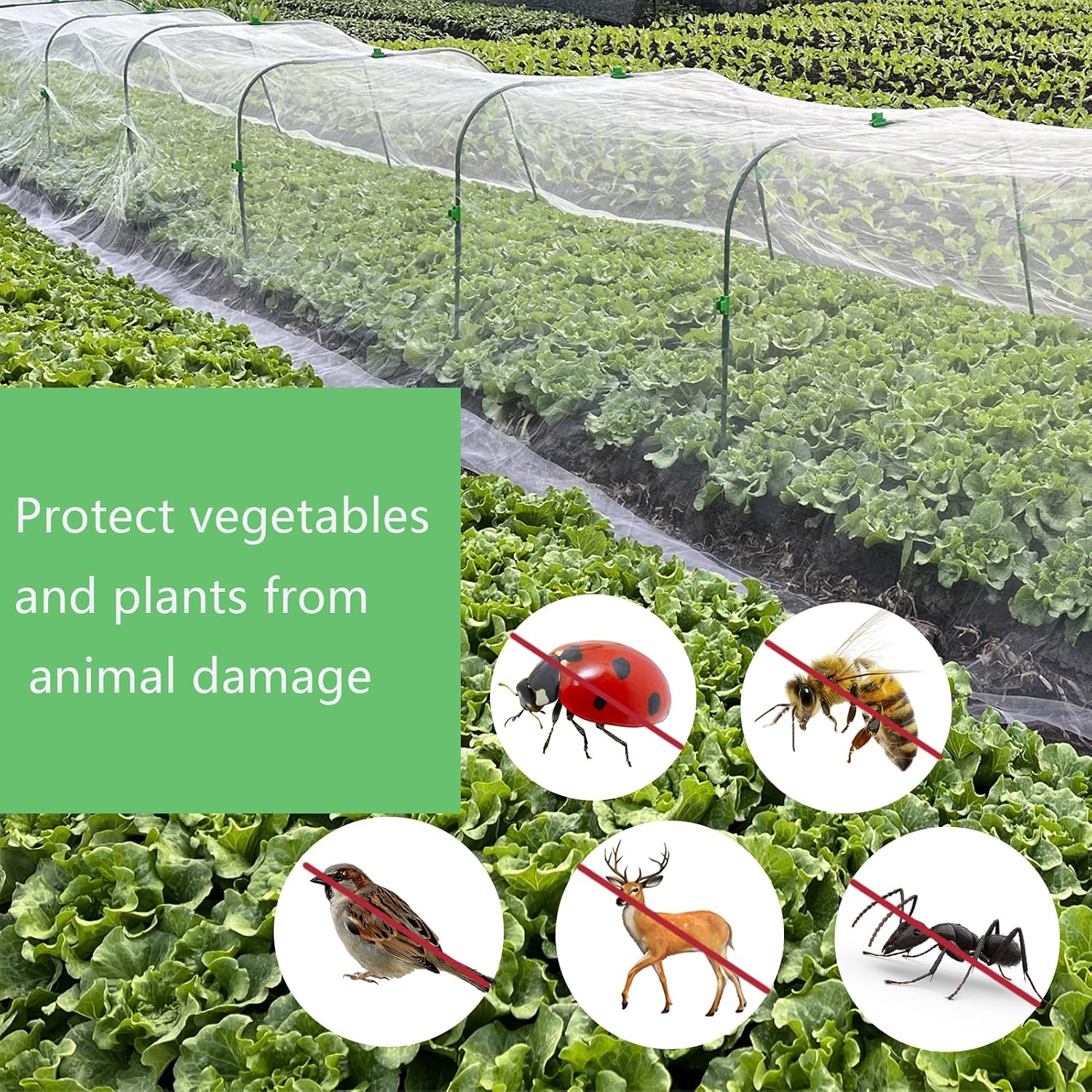 2 Pack 10X43FT Garden Netting for Raised Beds, Ultra Fine Insect Netting for Vegetable Flowers Fruits Greenhouse Crops