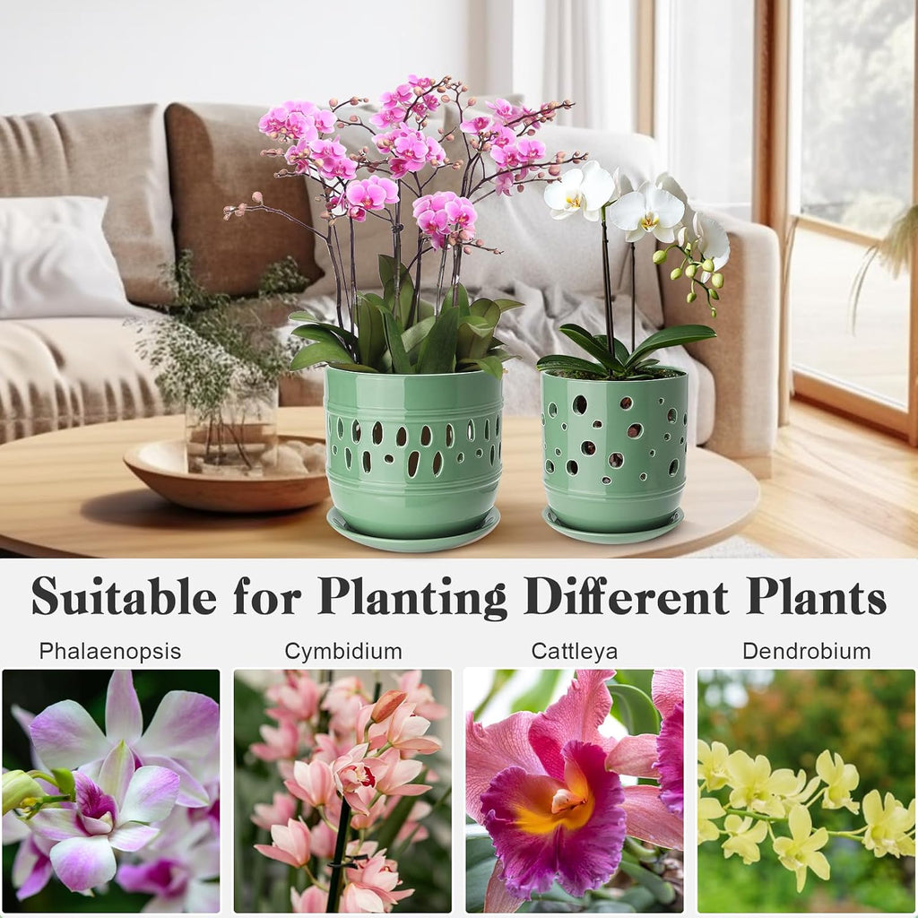 Orchid Pots with Holes, 5+6 Inch Large Orchid Pot with Drainage and Saucers, Ceramic Orchid Planter for Indoor/Outdoor