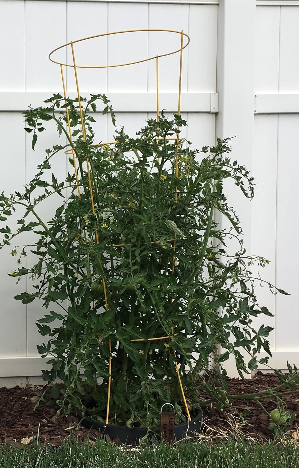 3-Pack 15" Planting Rings – Smart Water-Saving Tomato & Vegetable Support System, Anchors Tomato Cages, Prevents