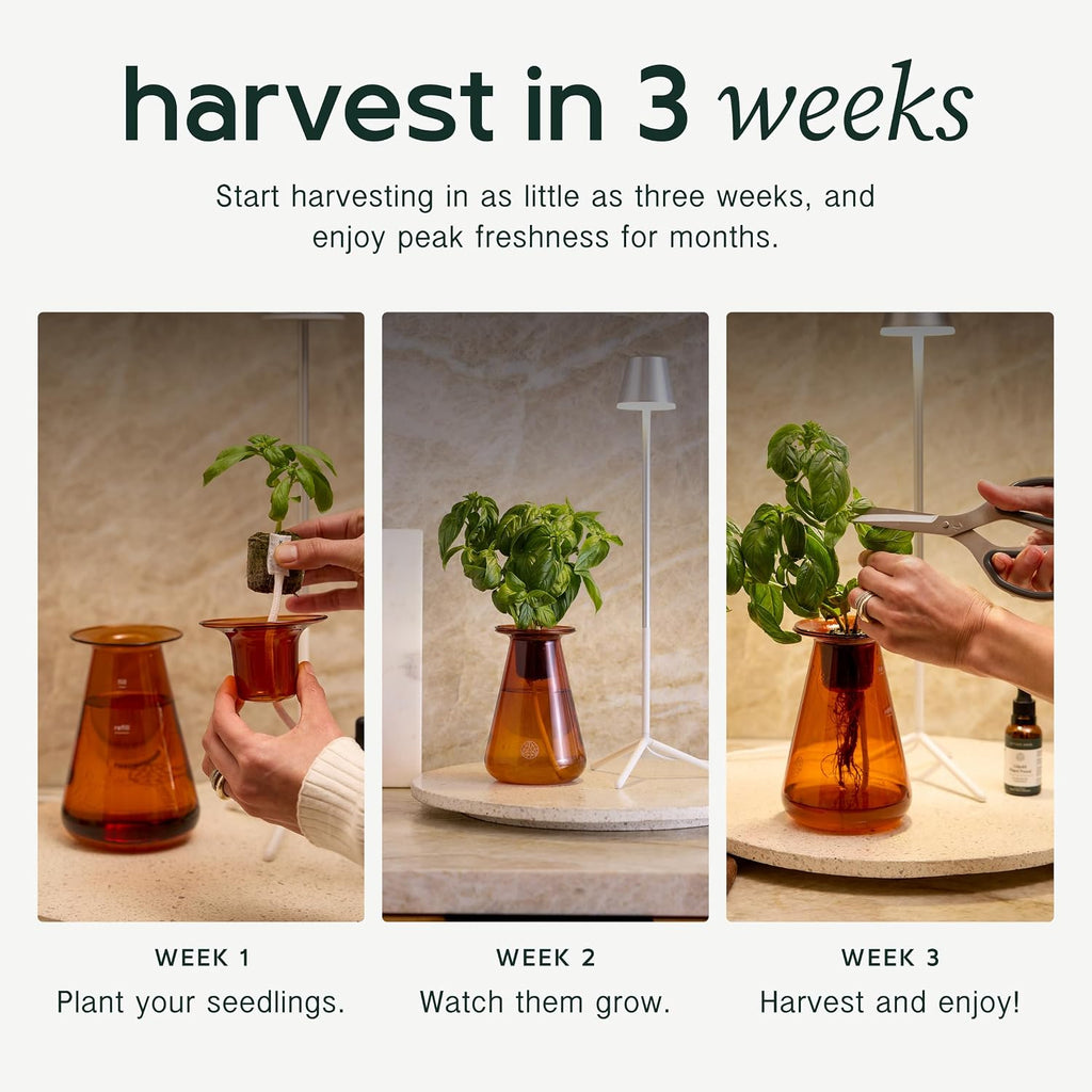 Counterstand Hydroponic Garden, Indoor Gardening System Hydroponics Growing System Kit, Herb Garden Planter Indoor Kit
