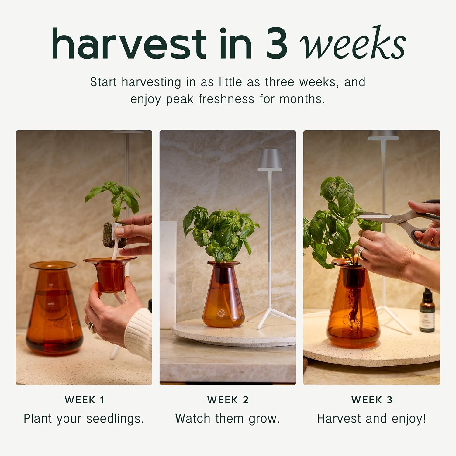 Counterstand Hydroponic Garden, Indoor Gardening System Hydroponics Growing System Kit, Herb Garden Planter Indoor Kit