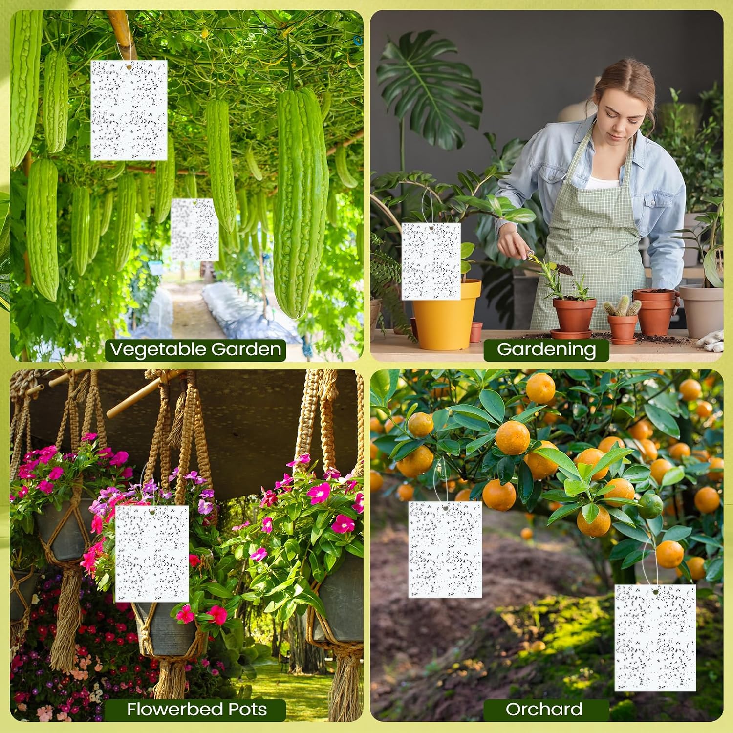 Qualirey 20 Pcs Yellow Sticky Traps 6x8in for Gnats Indoor | Dual-sided for Fungus Gnats Fruit Flies Whiteflies Thrips